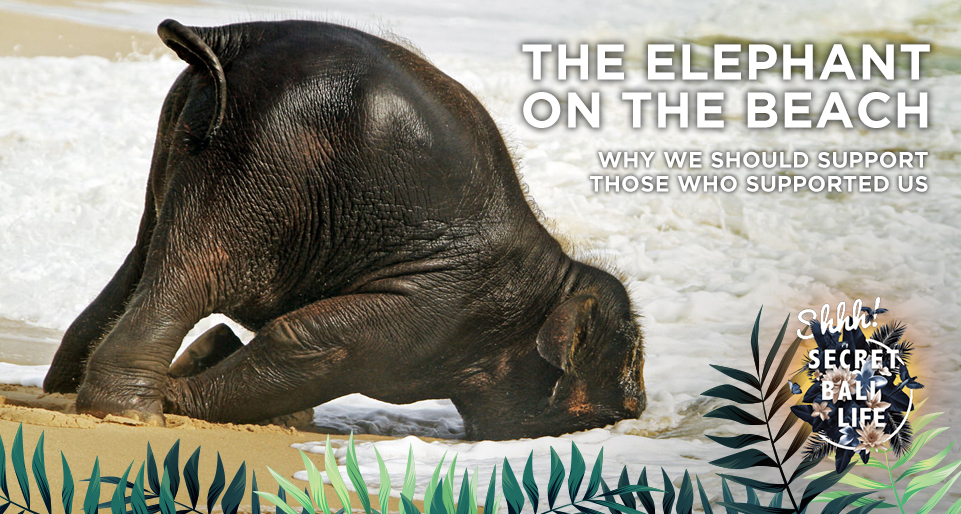 THE ELEPHANT ON THE BEACH thumbnail image